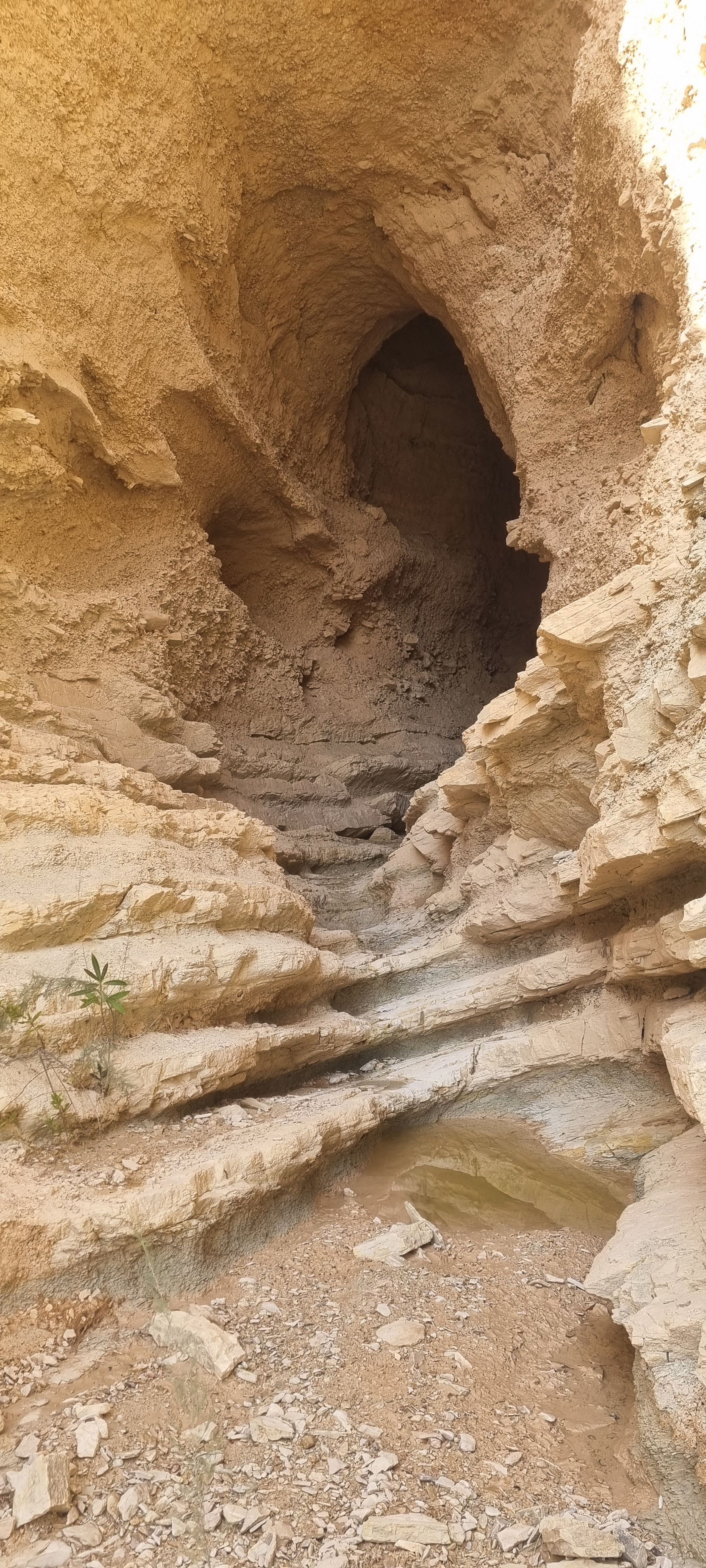 Real Spain Tours and Travel - Spain motorcycle Tours's image