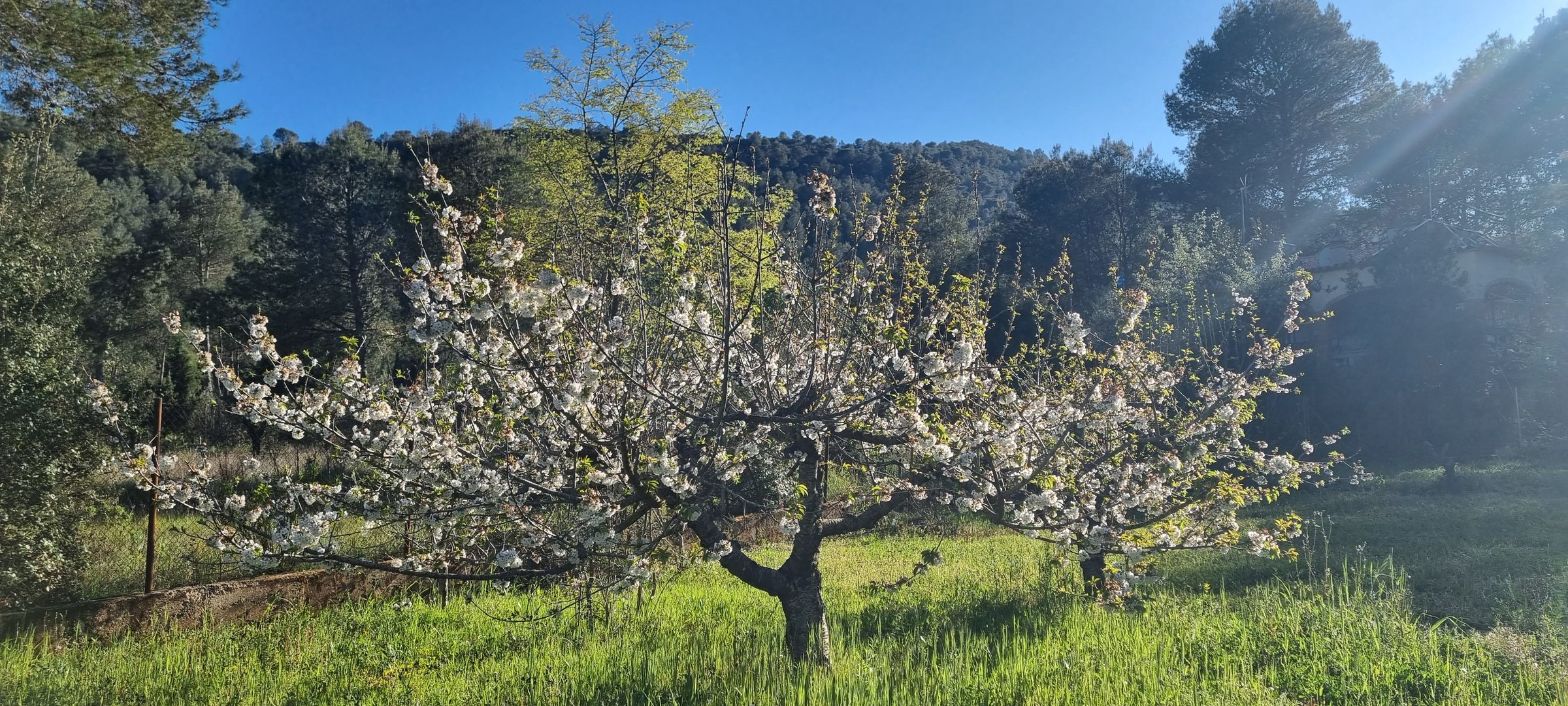 Real Spain Tours and Travel - Spain Motorcycle Tours's image