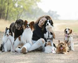 lady sitting on ground cuddling multiple dogs