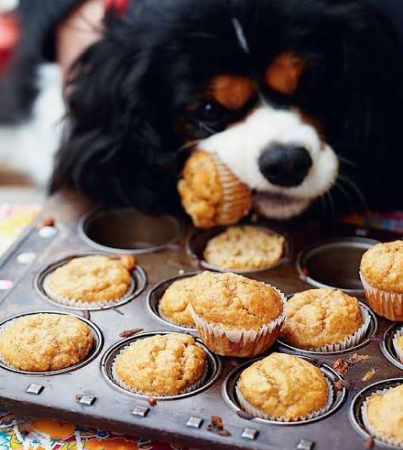 Cutie Pies Pet Supplies's image