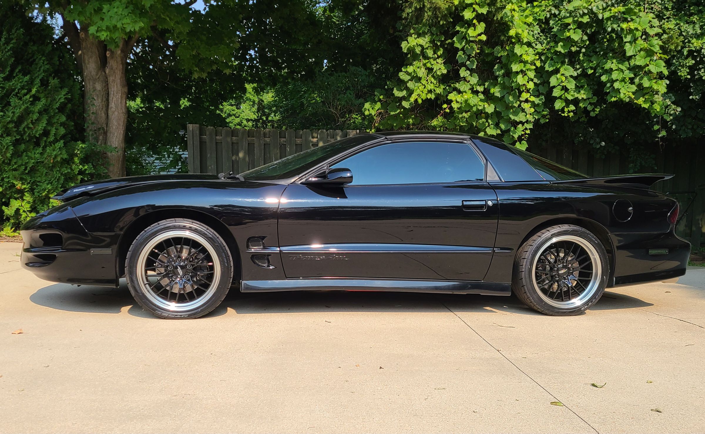 Detail devotion's image