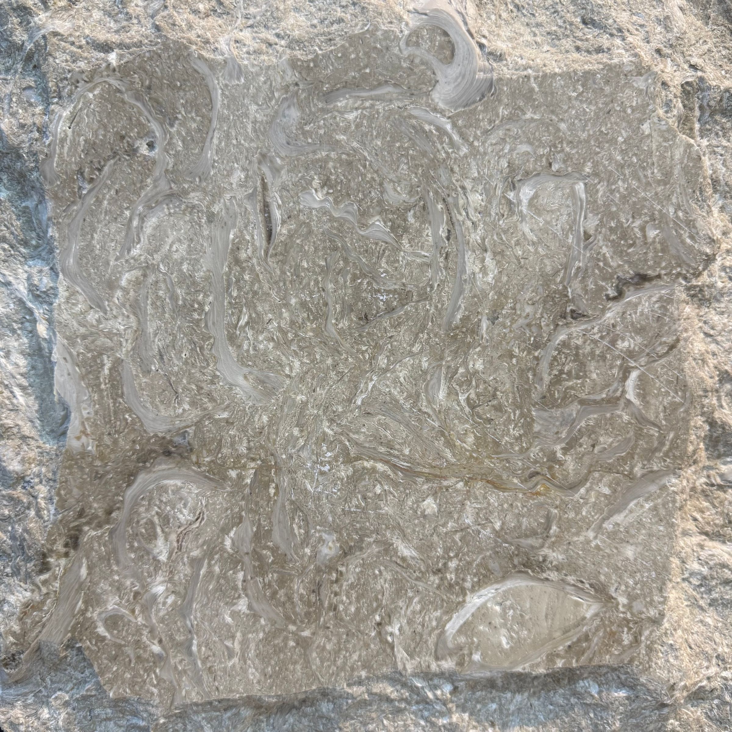 شركة صخور المشرق's image