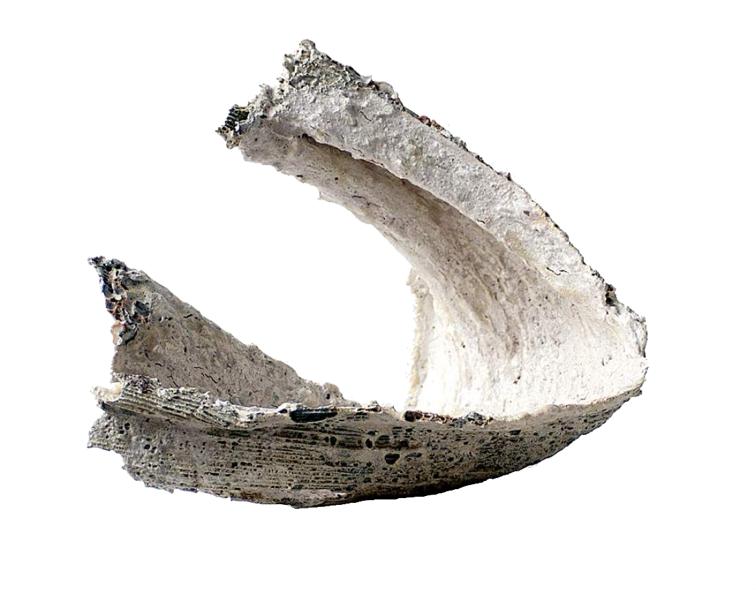 شركة صخور المشرق's image