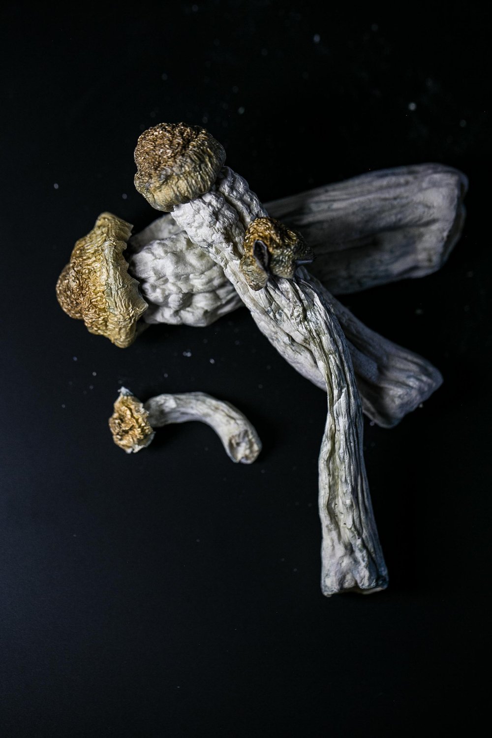 Warrior's Church of Healing's image