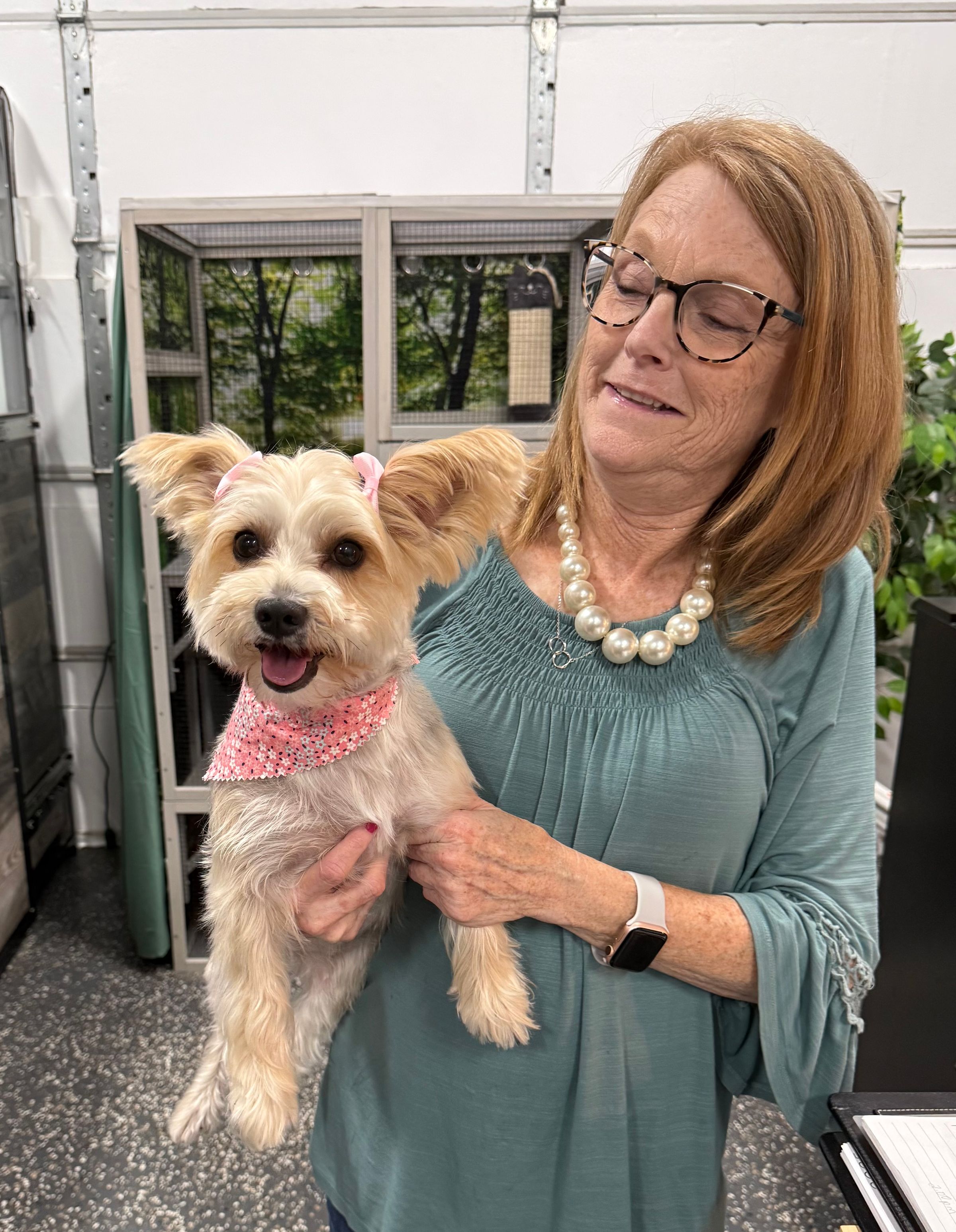 The BED & BISCUIT dog spa's image