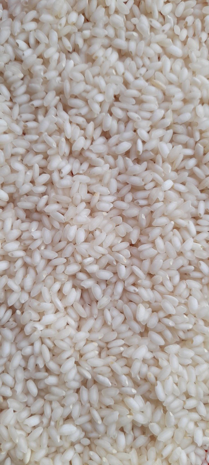 Emerald Paddy Trading Company Limited's image