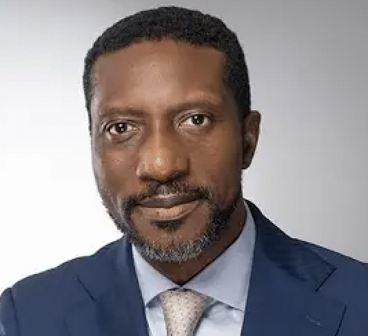 Idia Legacy - Helping African consumer brands access capital's image