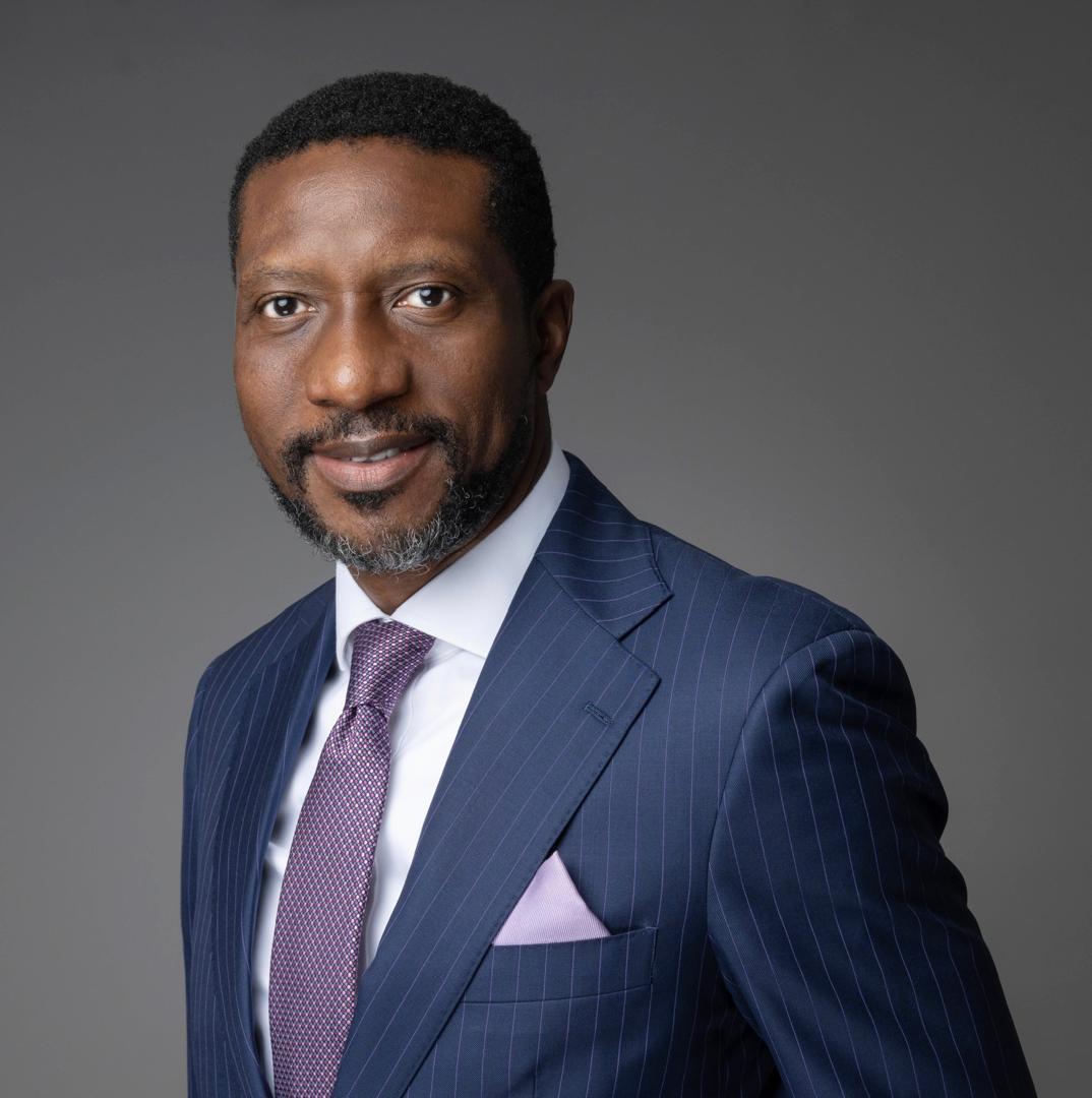 Idia Legacy - Helping African consumer brands access capital's image