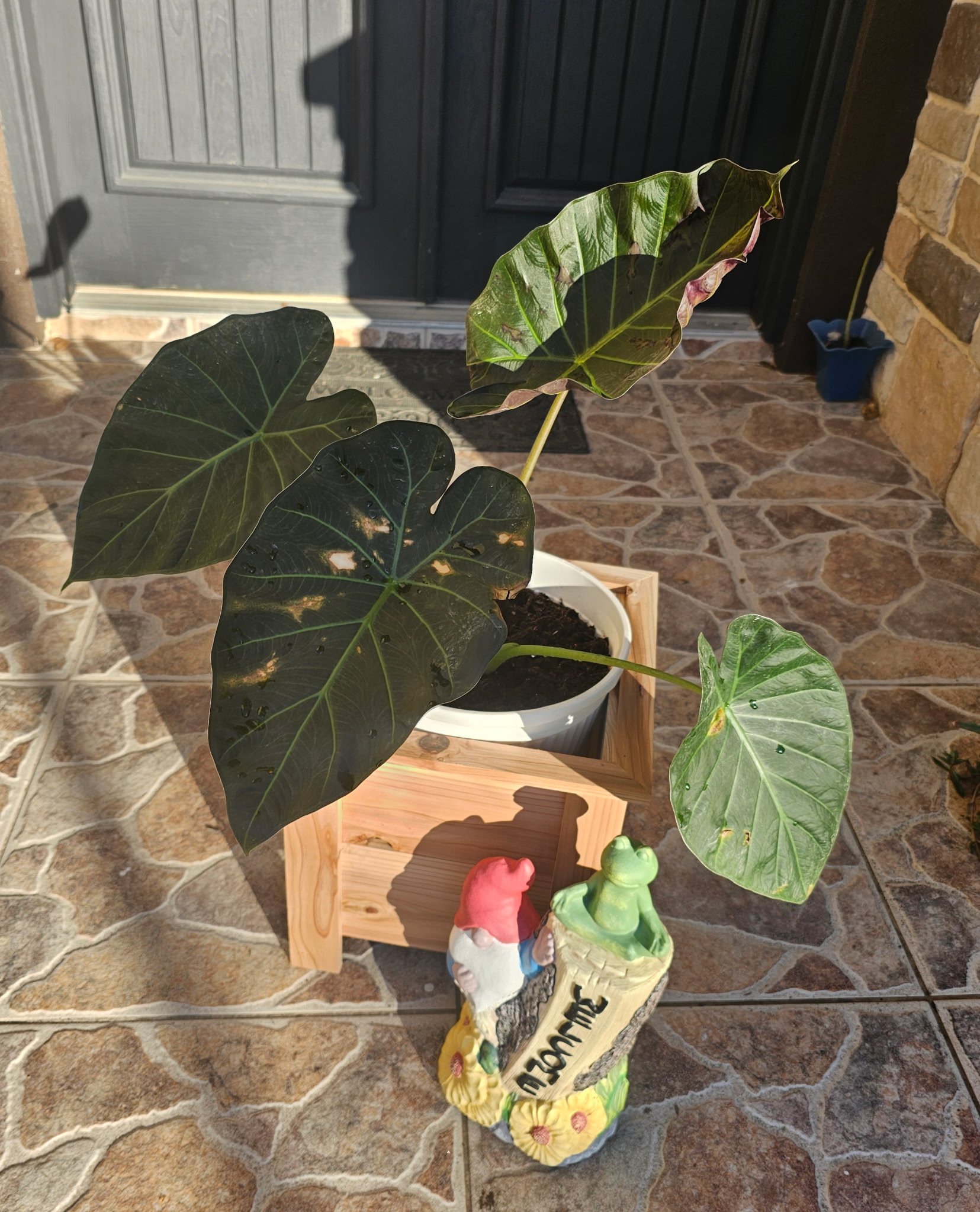 J.A.C. Woodwork's image