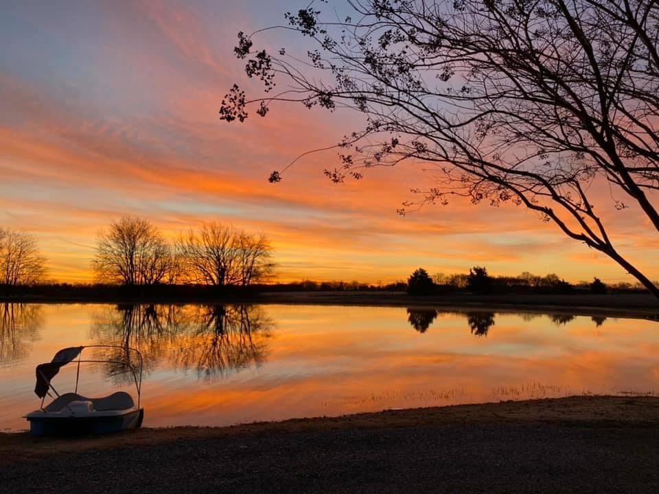 Lord Ronaldo Consultants & Photography 's image