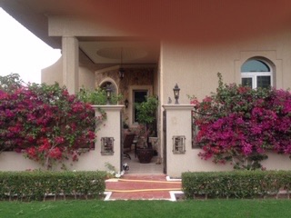 Lord Ronaldo Consultants & Photography 's image