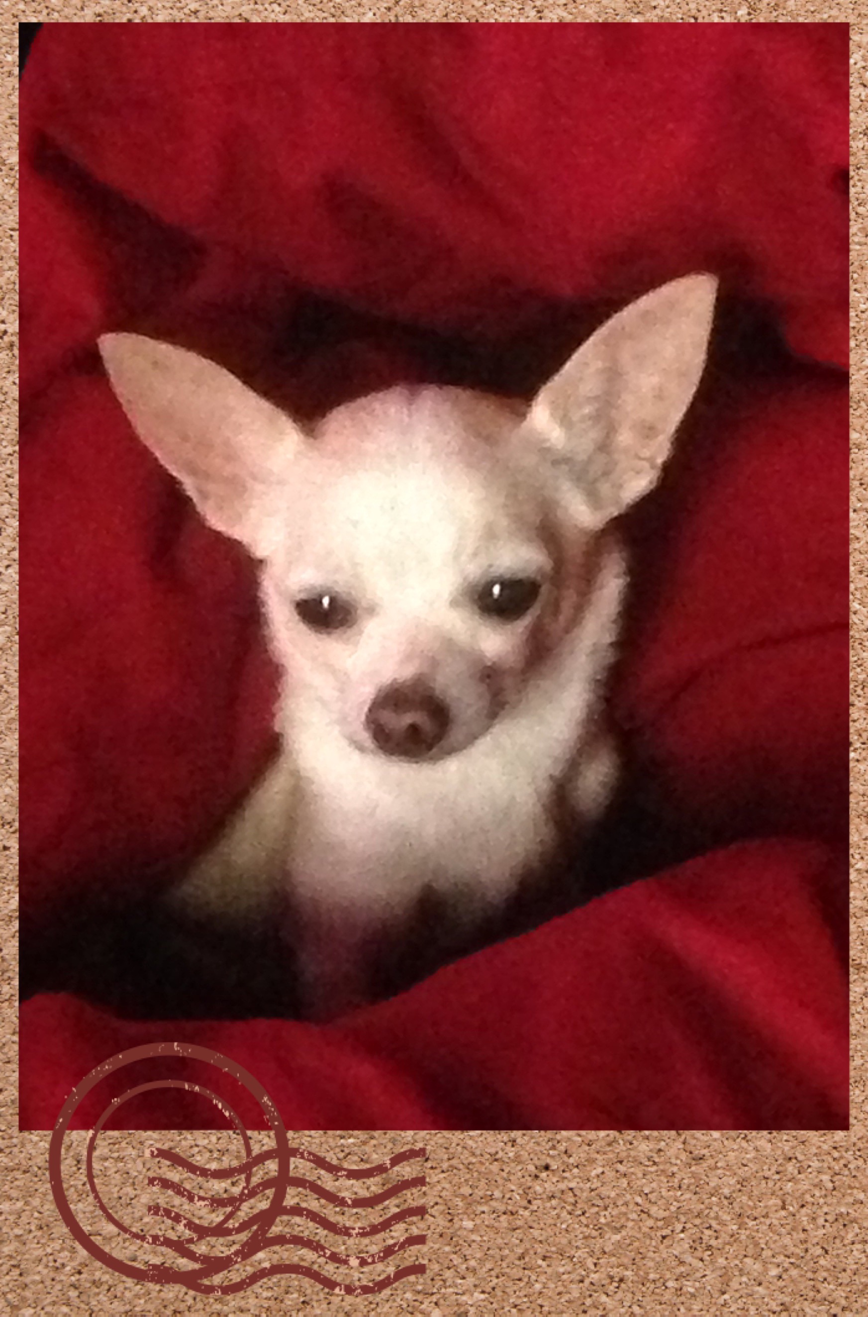 Lord Ronaldo Consultants & Photography 's image