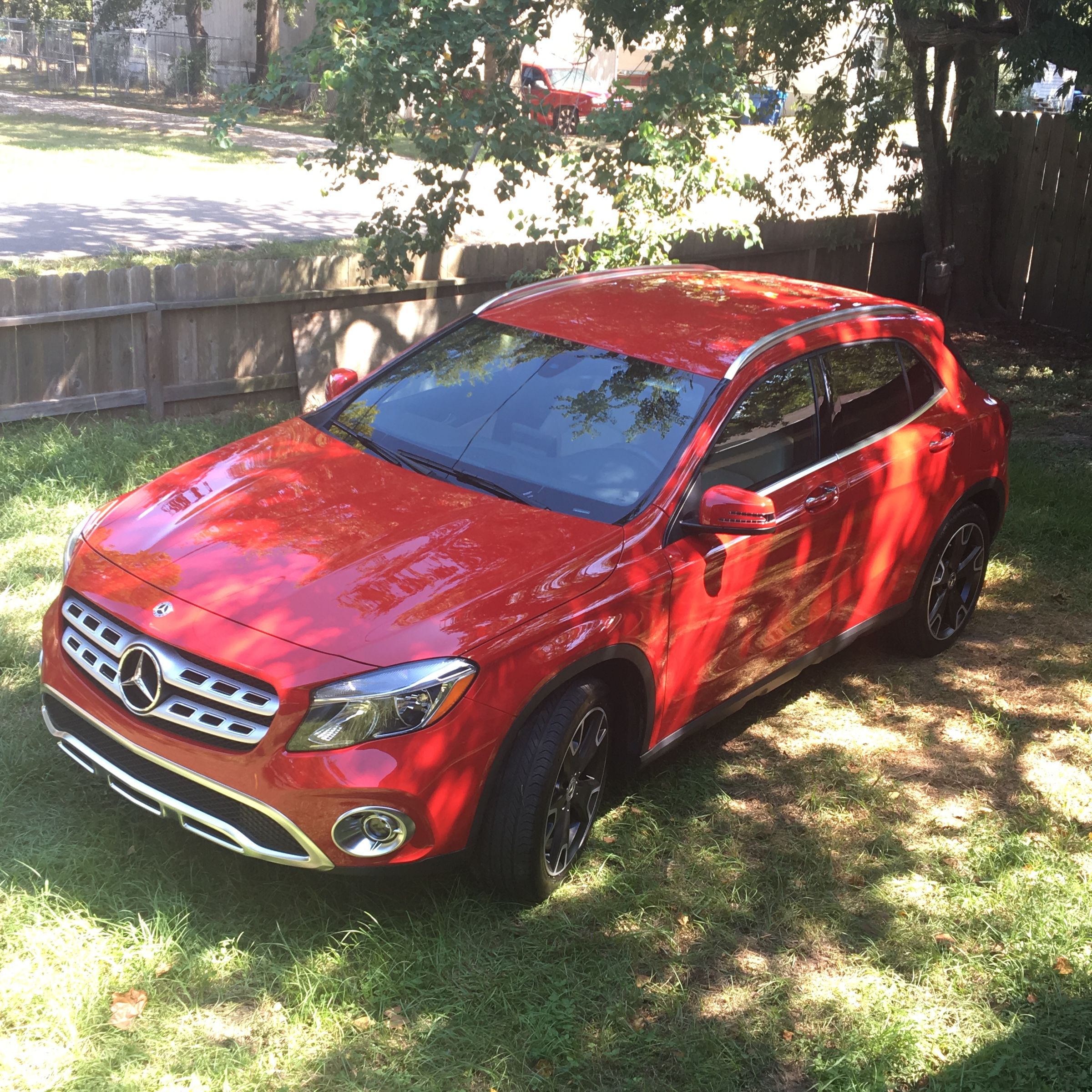 Lord Ronaldo Consultants & Photography 's image