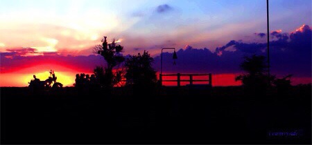 Lord Ronaldo Consultants & Photography 's image