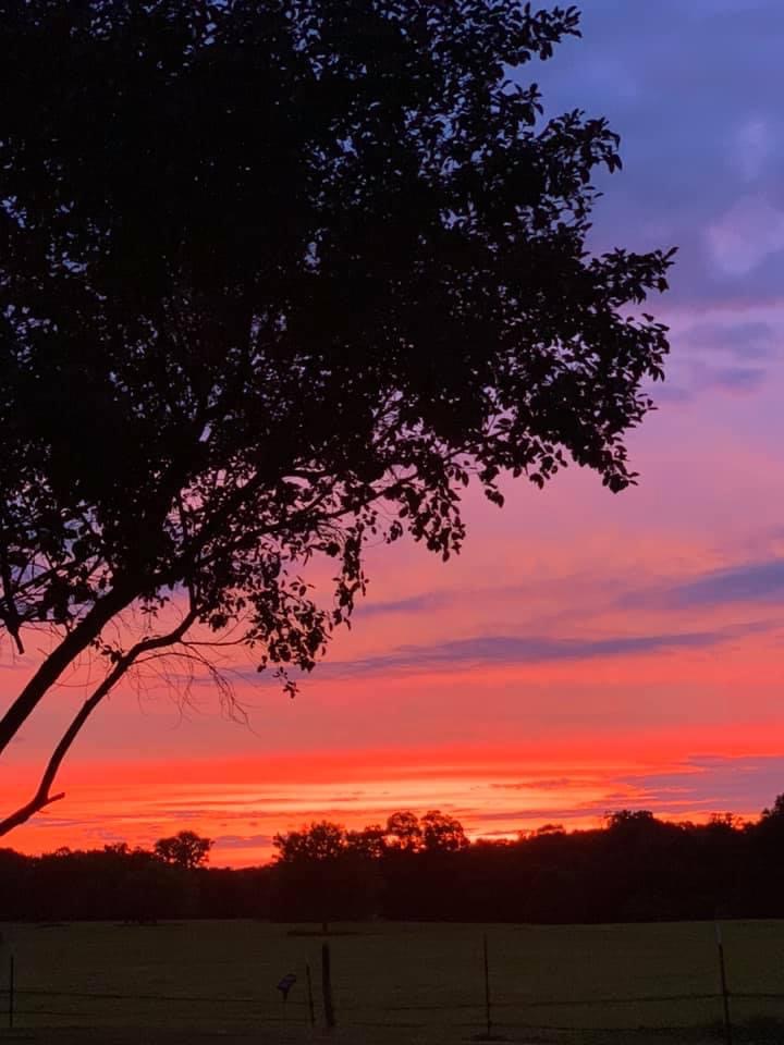 Lord Ronaldo Consultants & Photography 's image