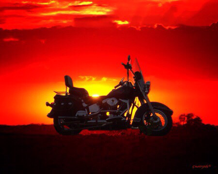 Lord Ronaldo Consultants & Photography 's image