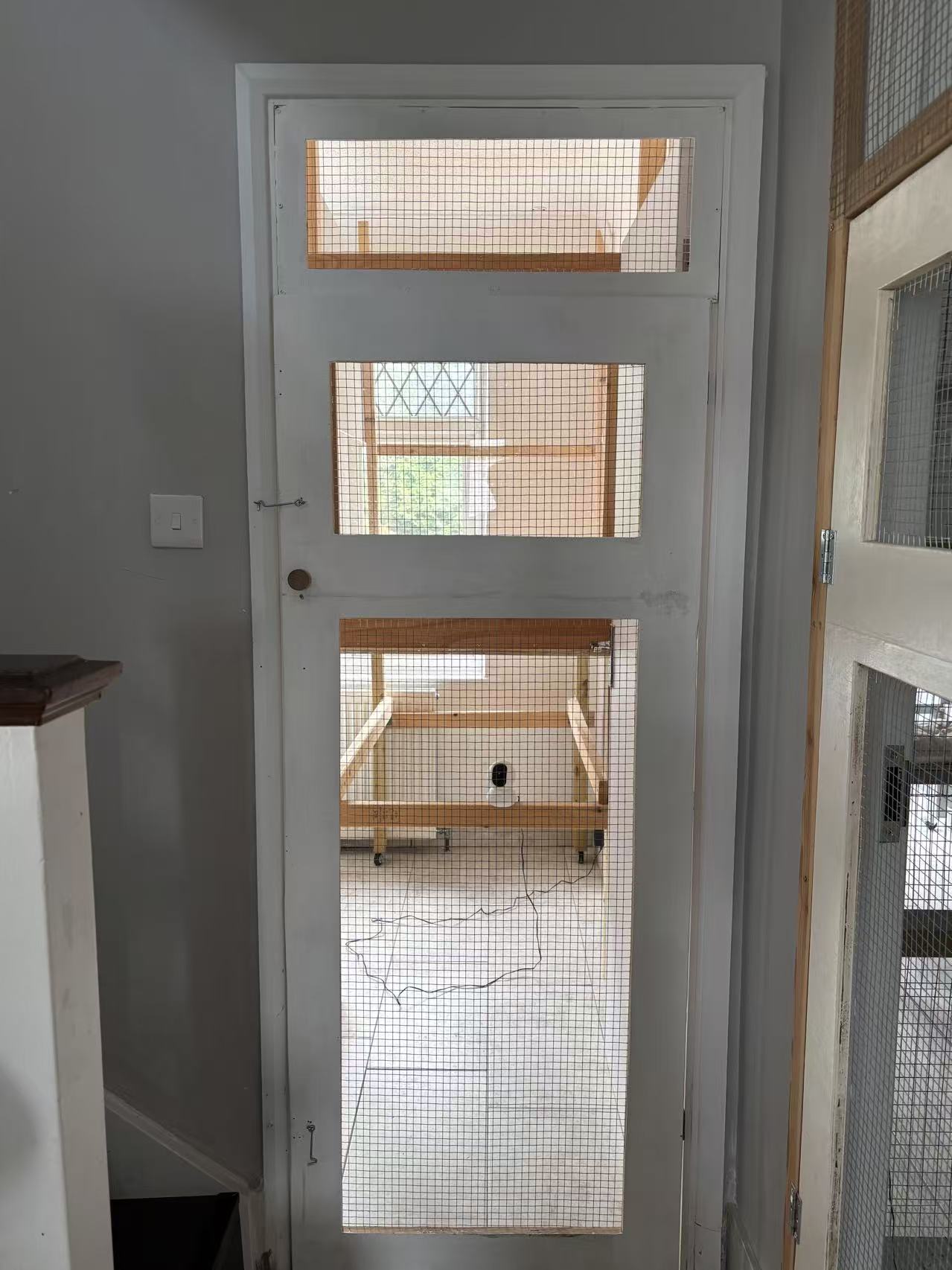 Maggie's Kitties's image