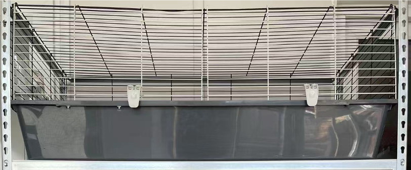 Maggie's Kitties's image