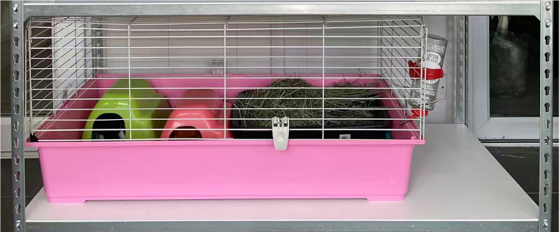 Maggie's Kitties's image