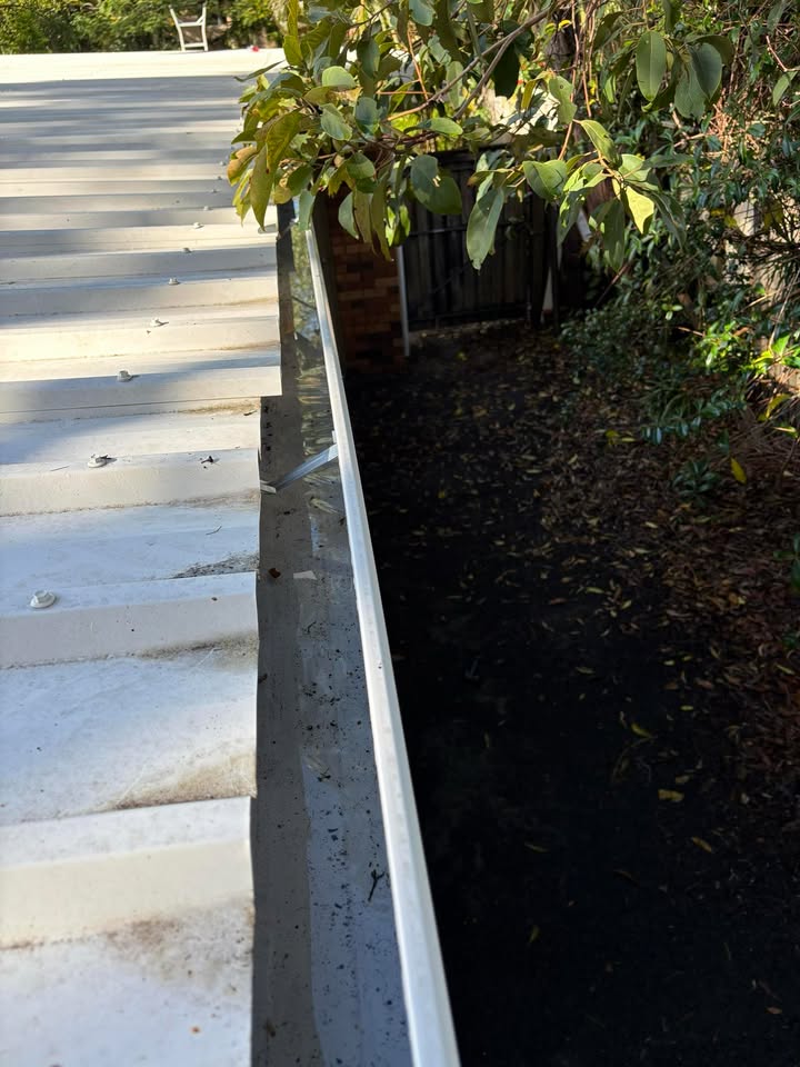 X-Stream Clean's image