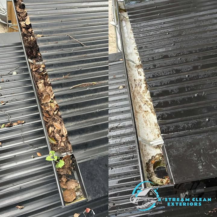 X-Stream Clean's image