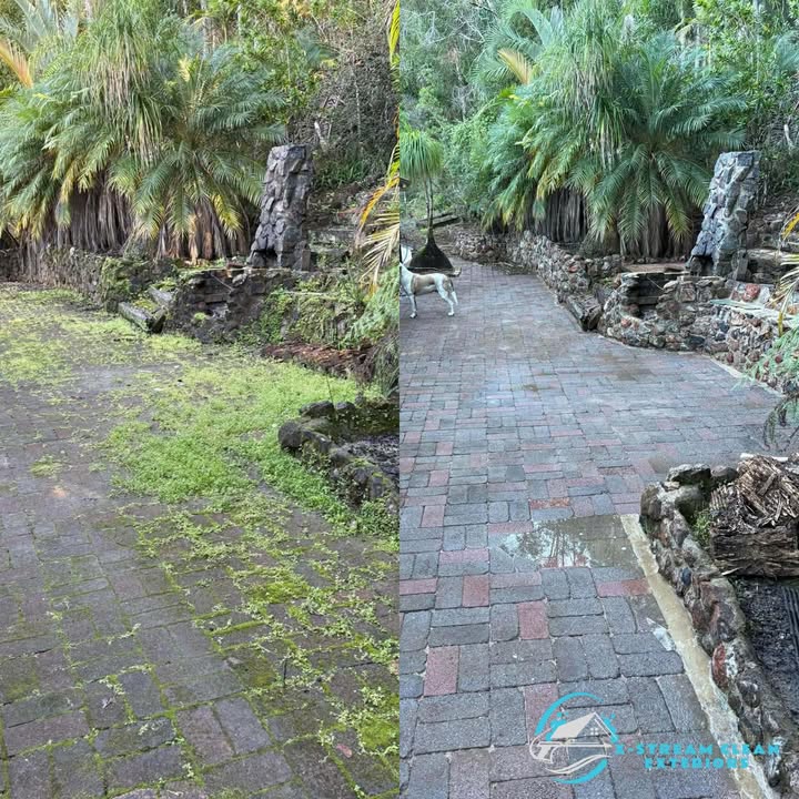 X-Stream Clean's image