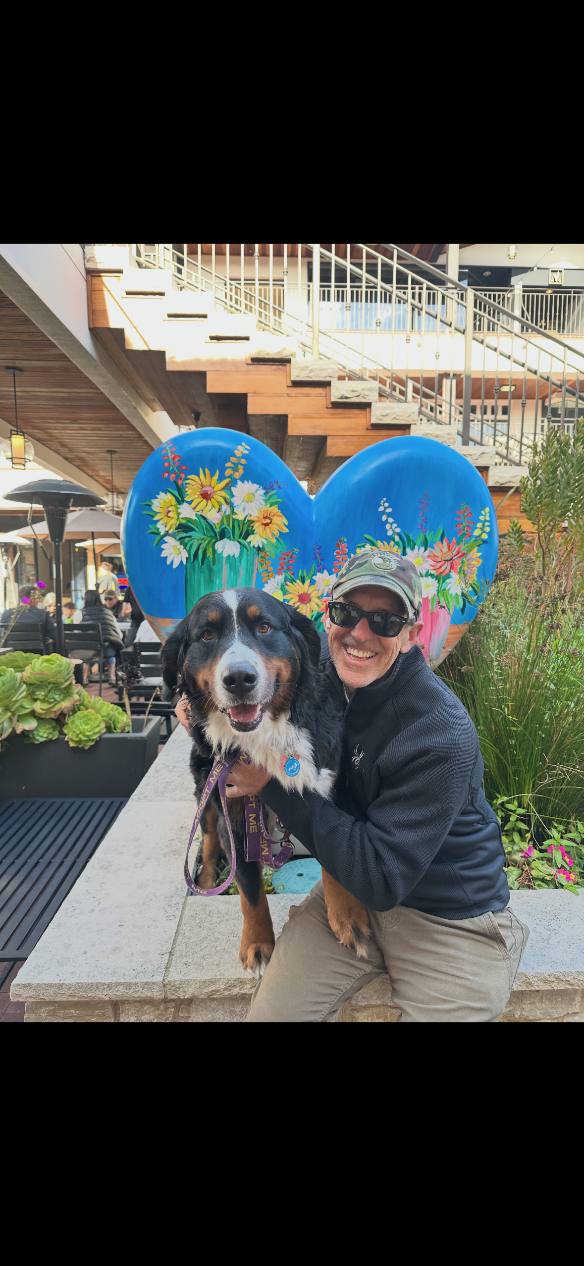 Peninsula Pack Dog Care's image