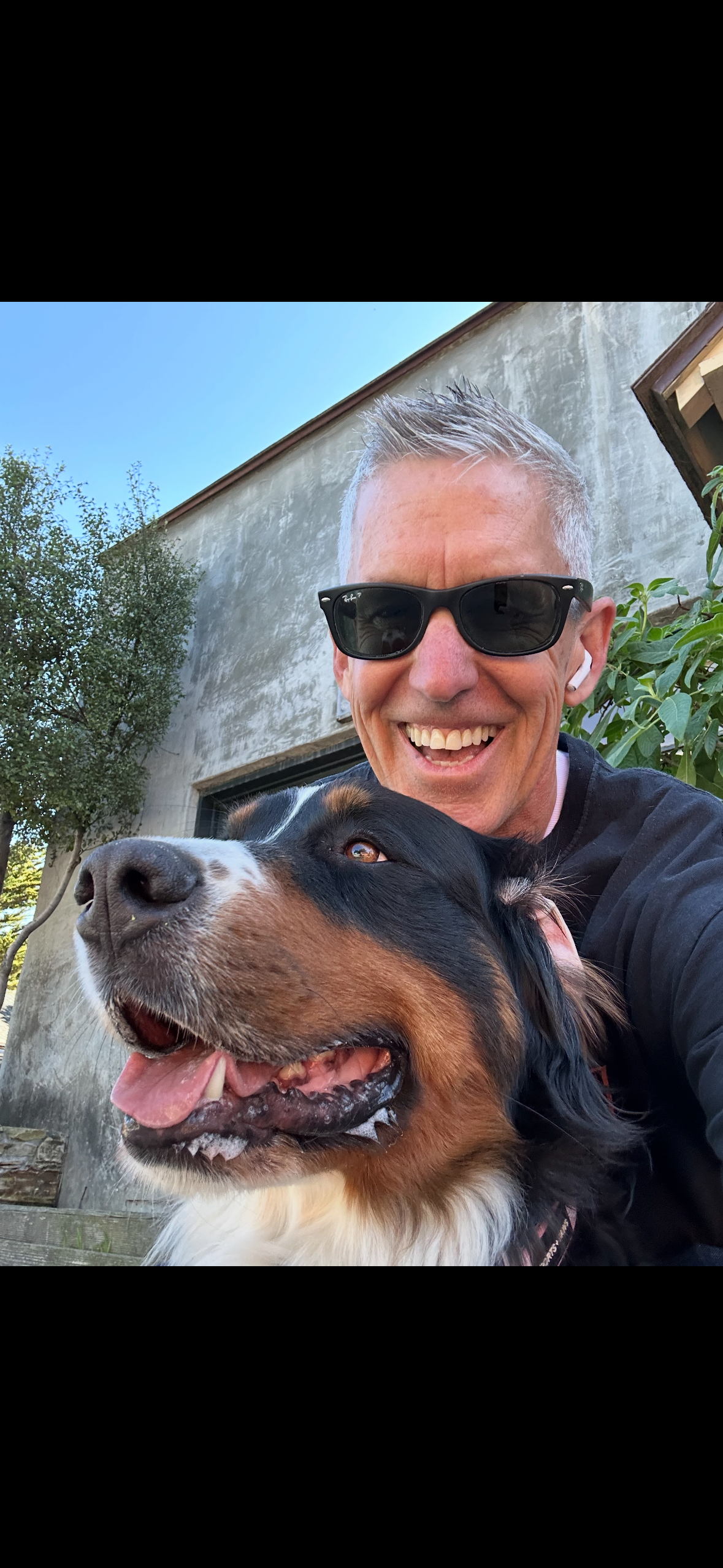 Peninsula Pack Dog Care's image