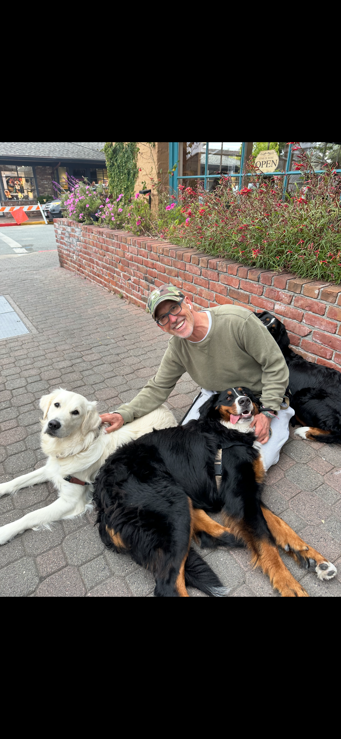 Peninsula Pack Dog Care's image