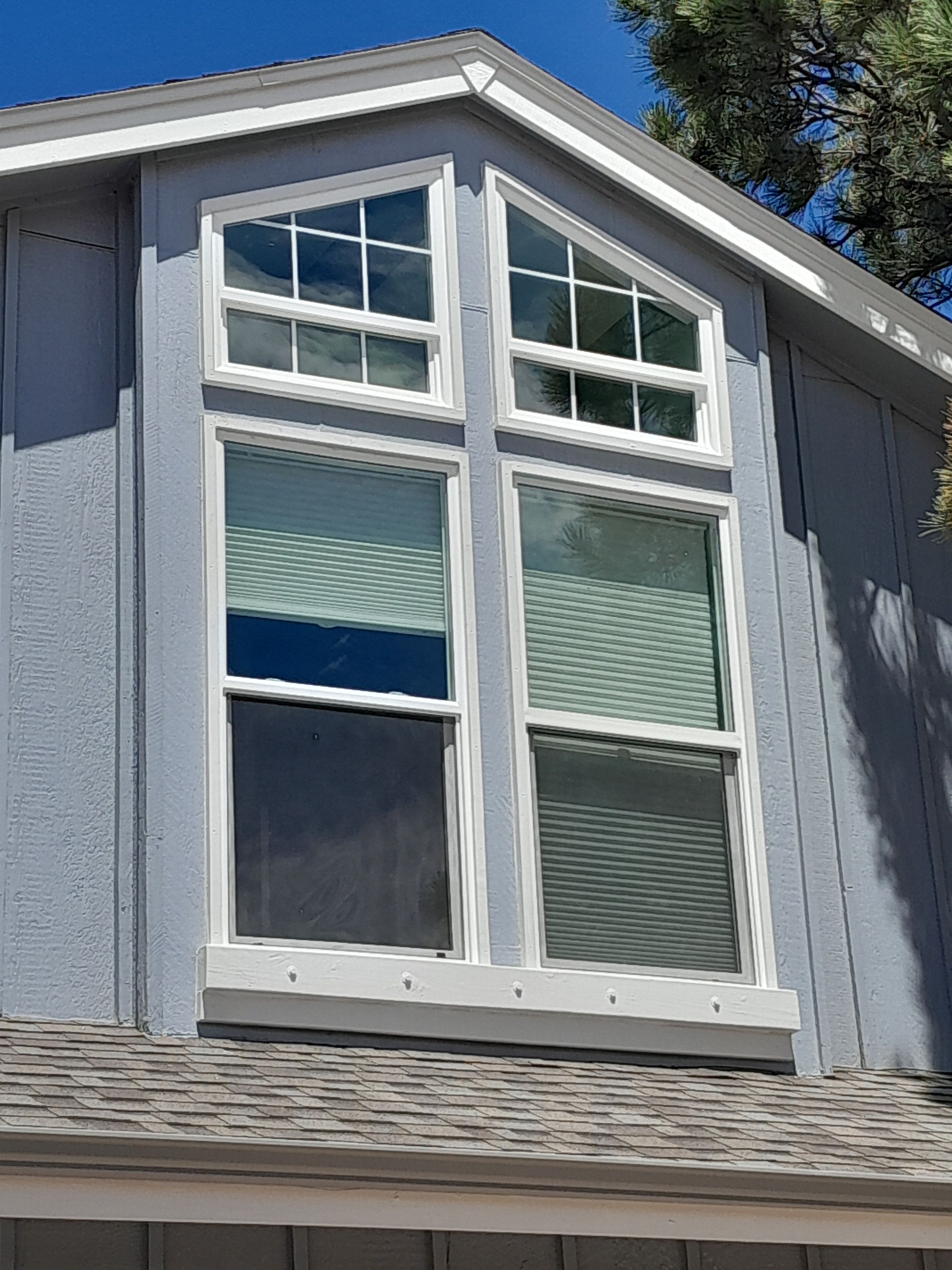 New Windows and Trim