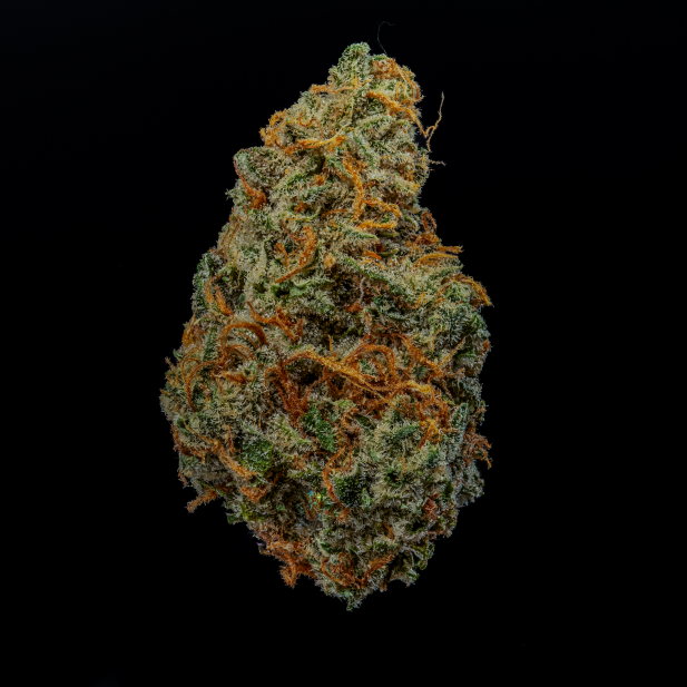 Augusta Cannabis Co.'s image