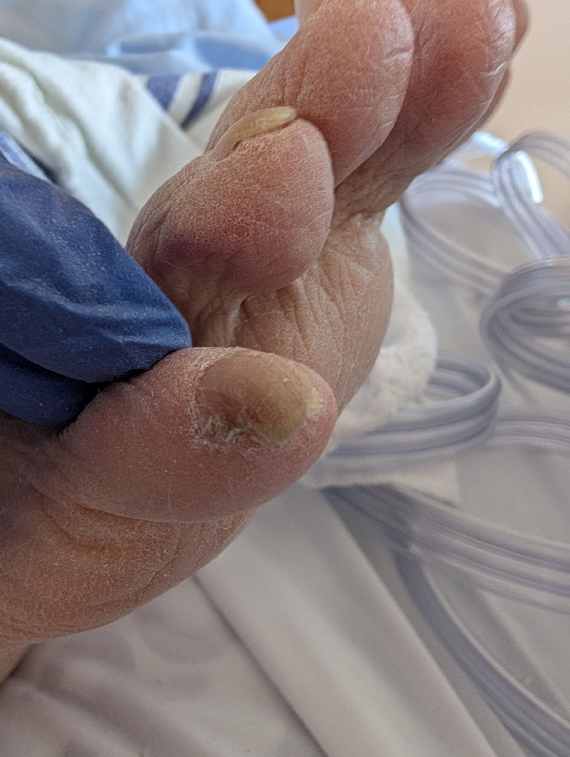 Crysalis Foot Care's image