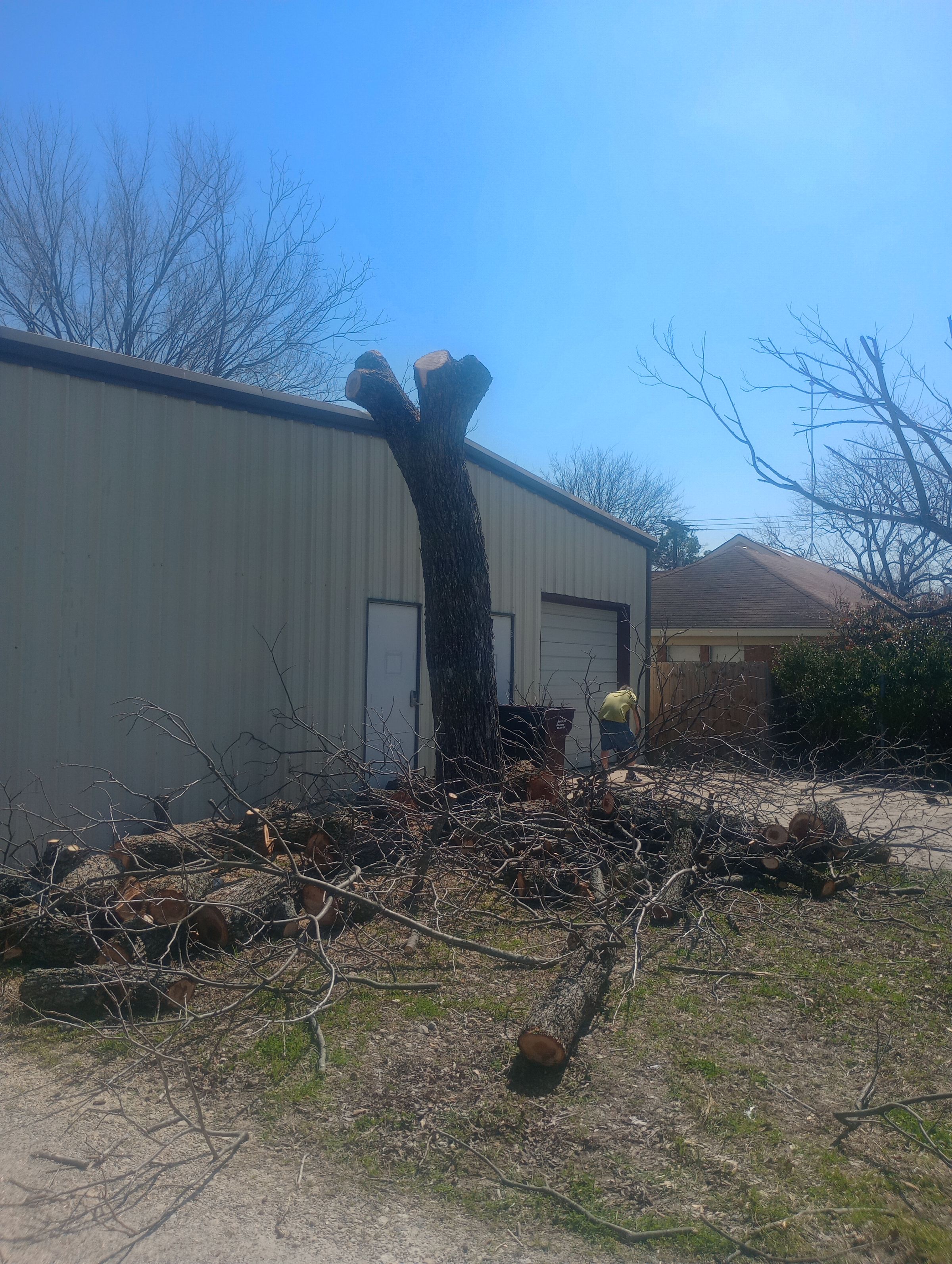 Post Roofing and Tree Services 's image