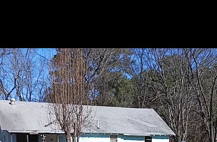 Post Roofing and Tree Services 's image