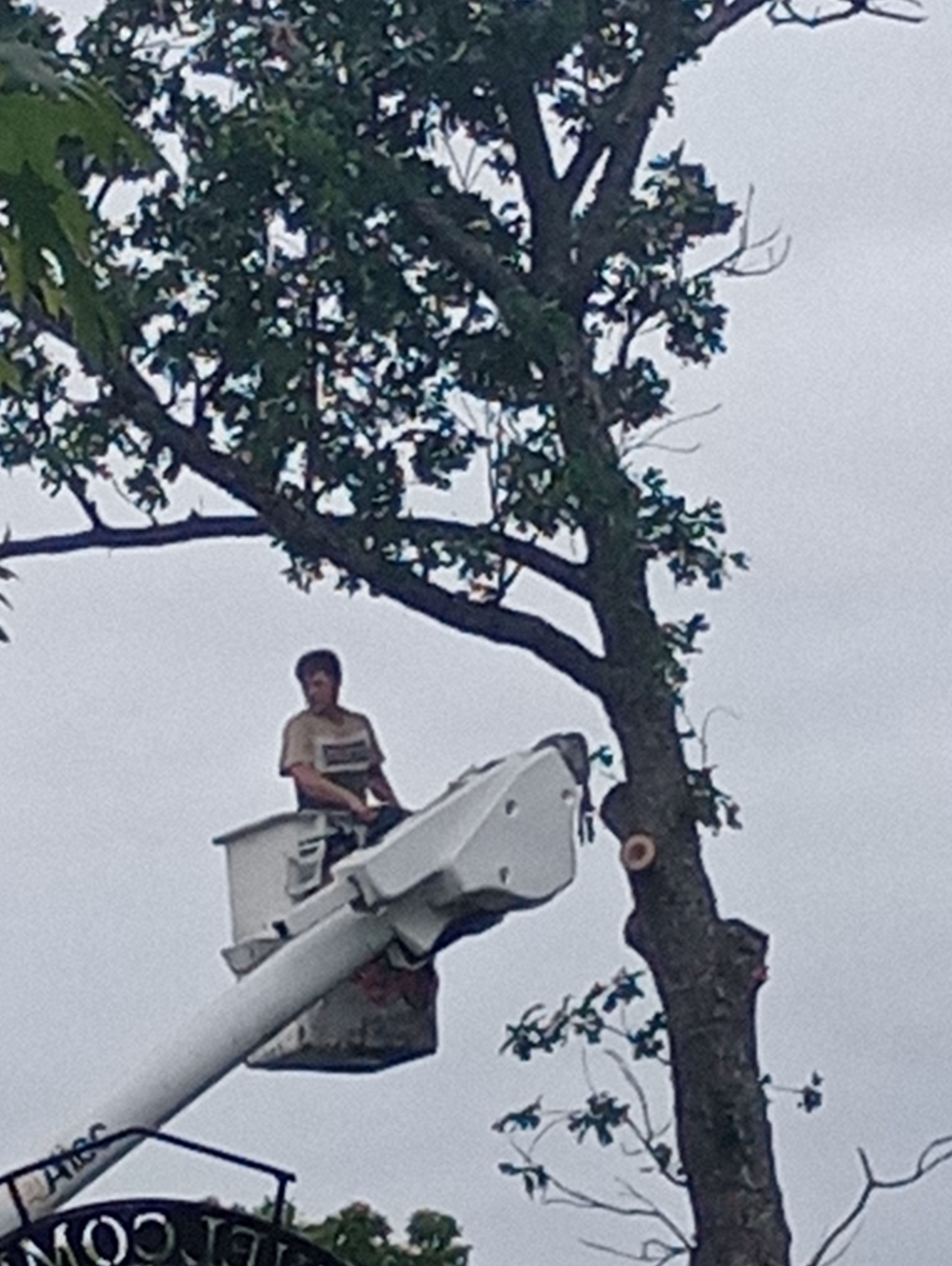 Post Roofing and Tree Services 's image