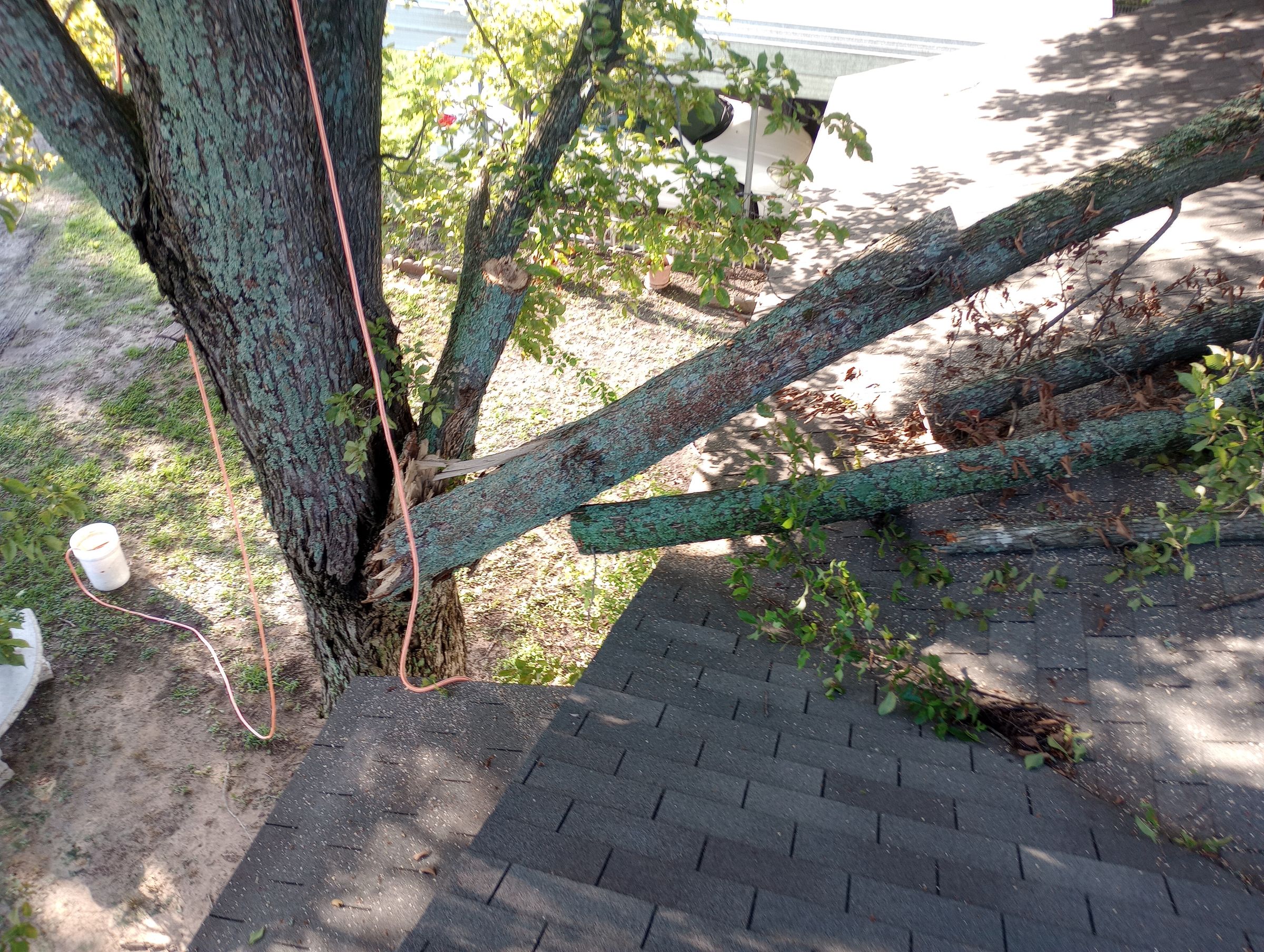 Post Roofing and Tree Services 's image