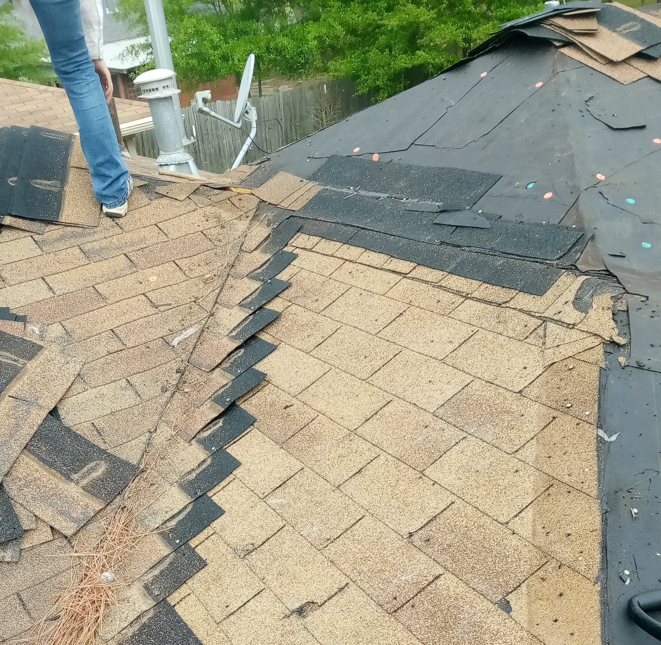 Post Roofing and Tree Services 's image