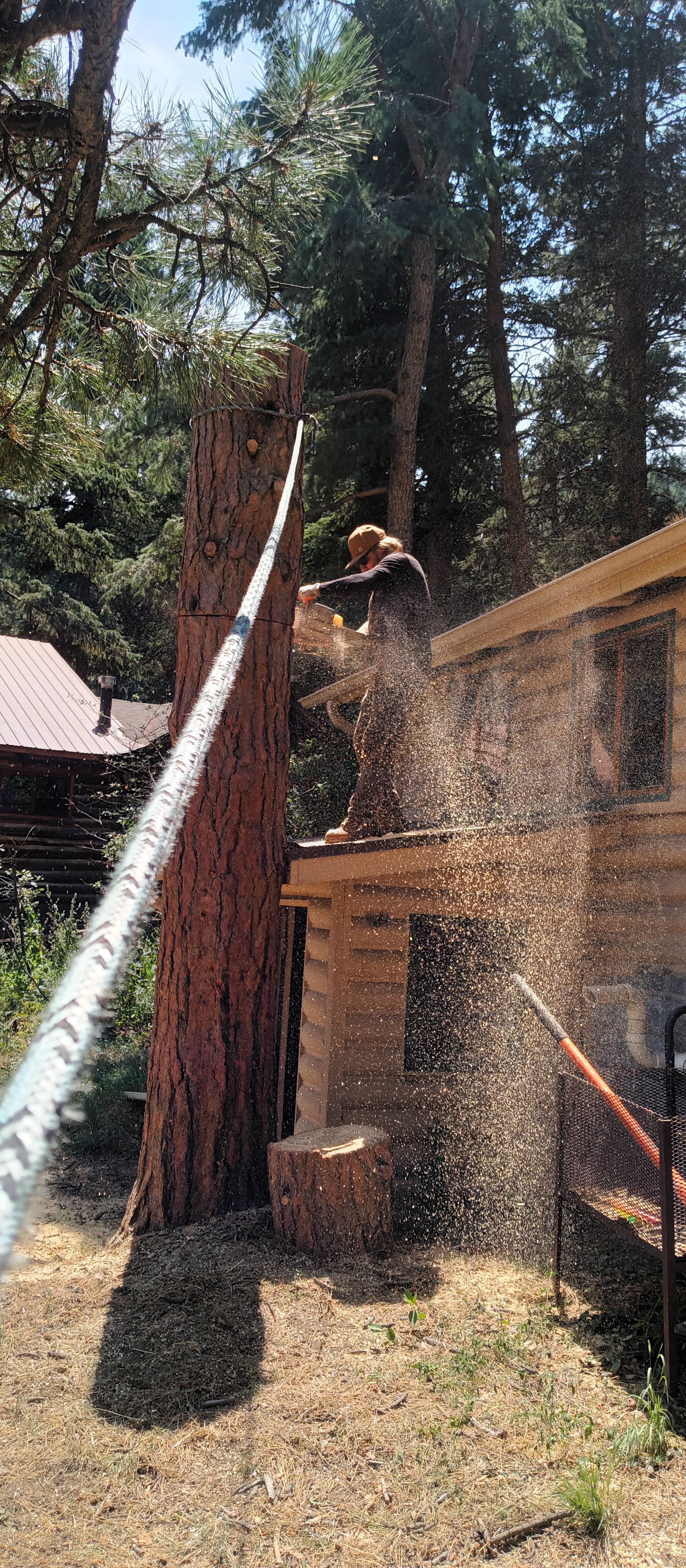 Sawed-Off Tree Service's image