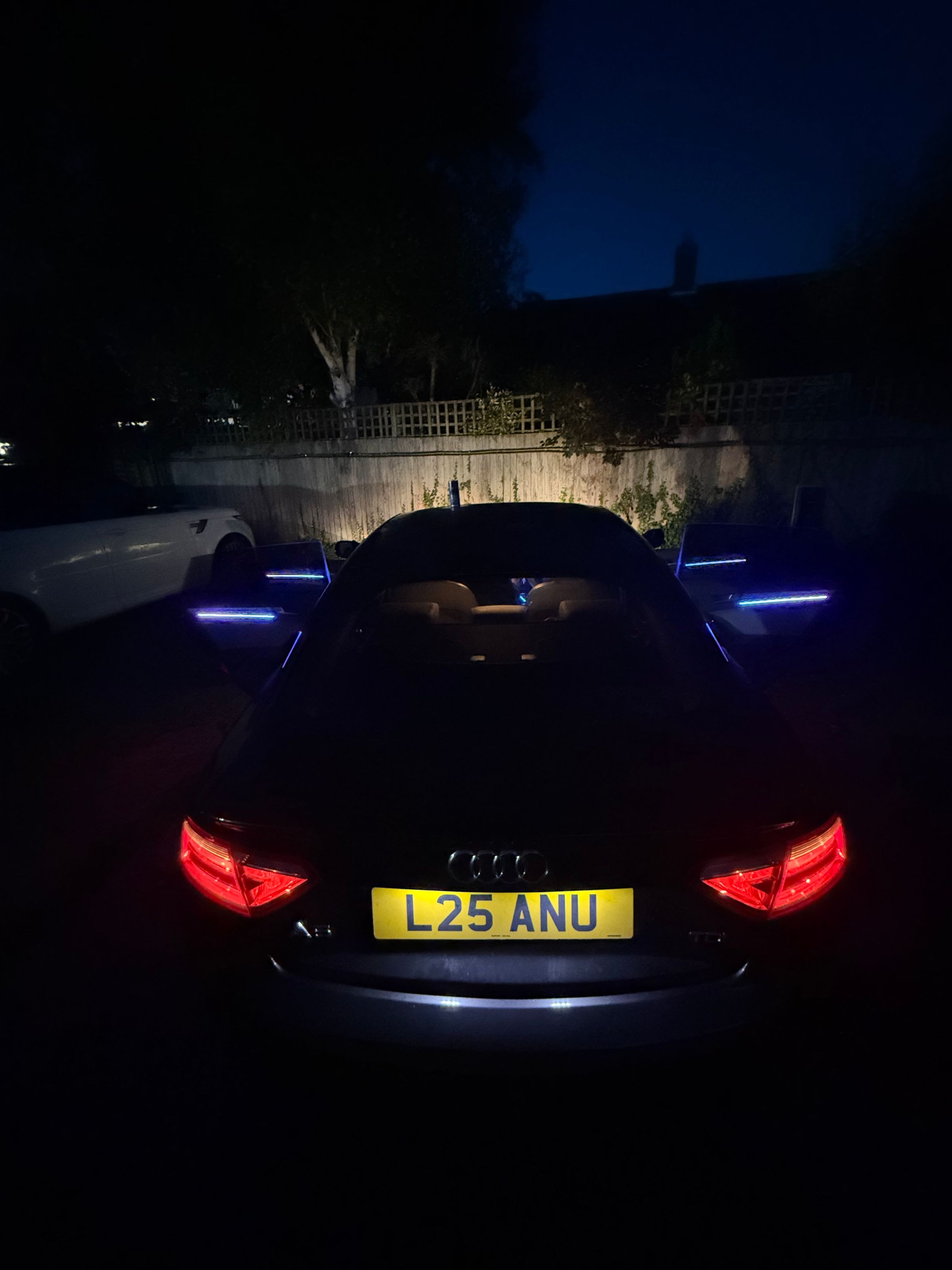 TheAmbientPlug's image