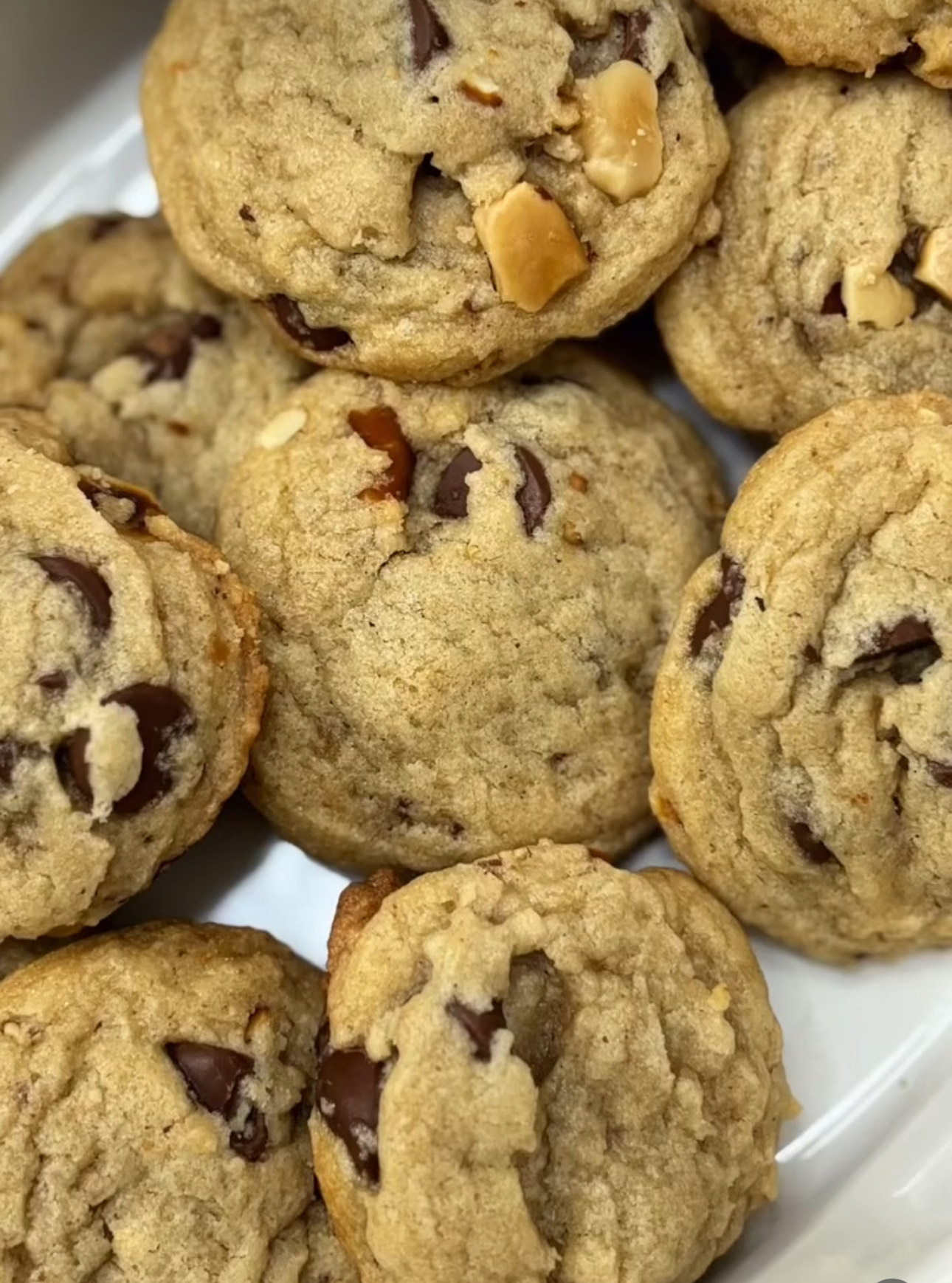 Chocolate chip cookies