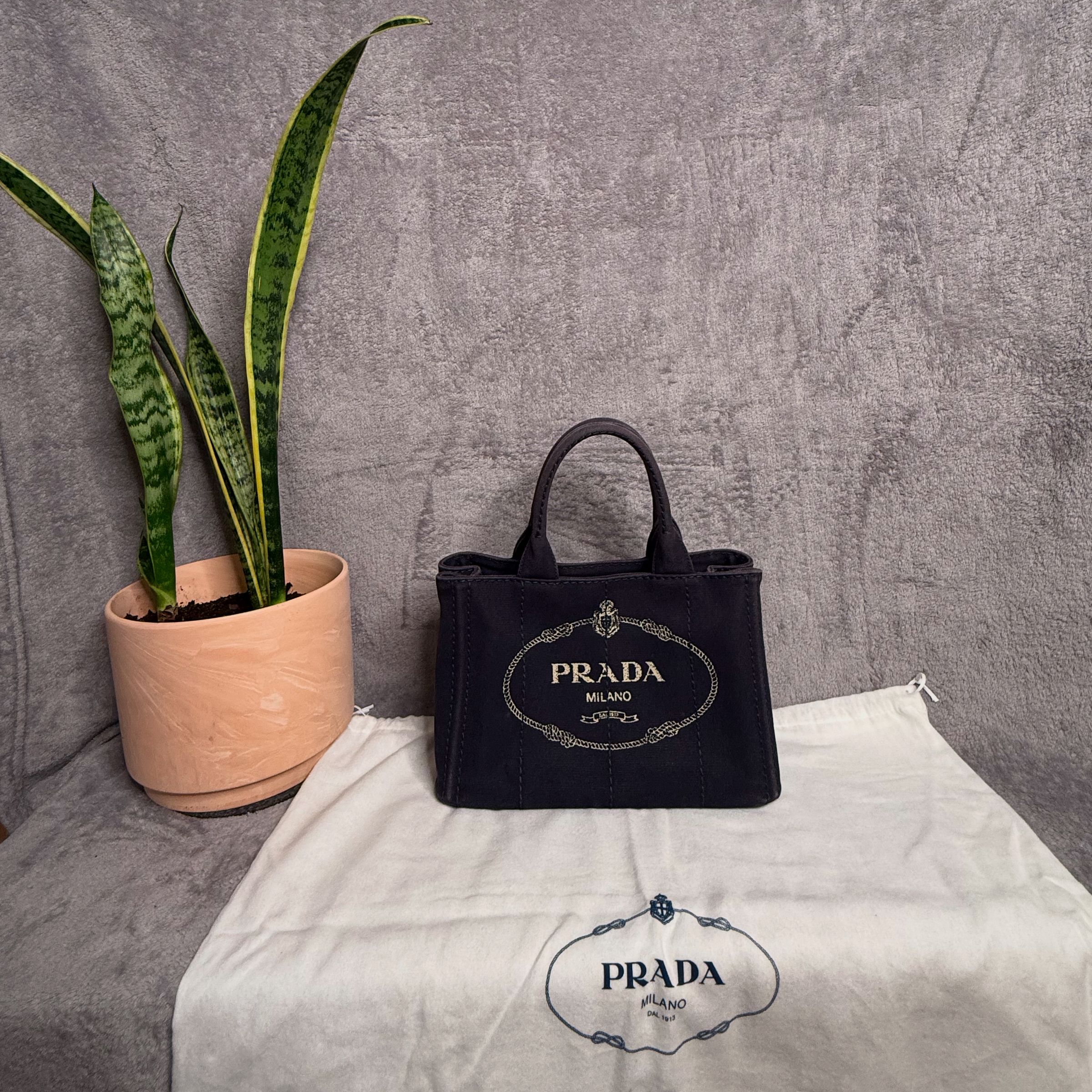 Lynchburgs Little Lux's image