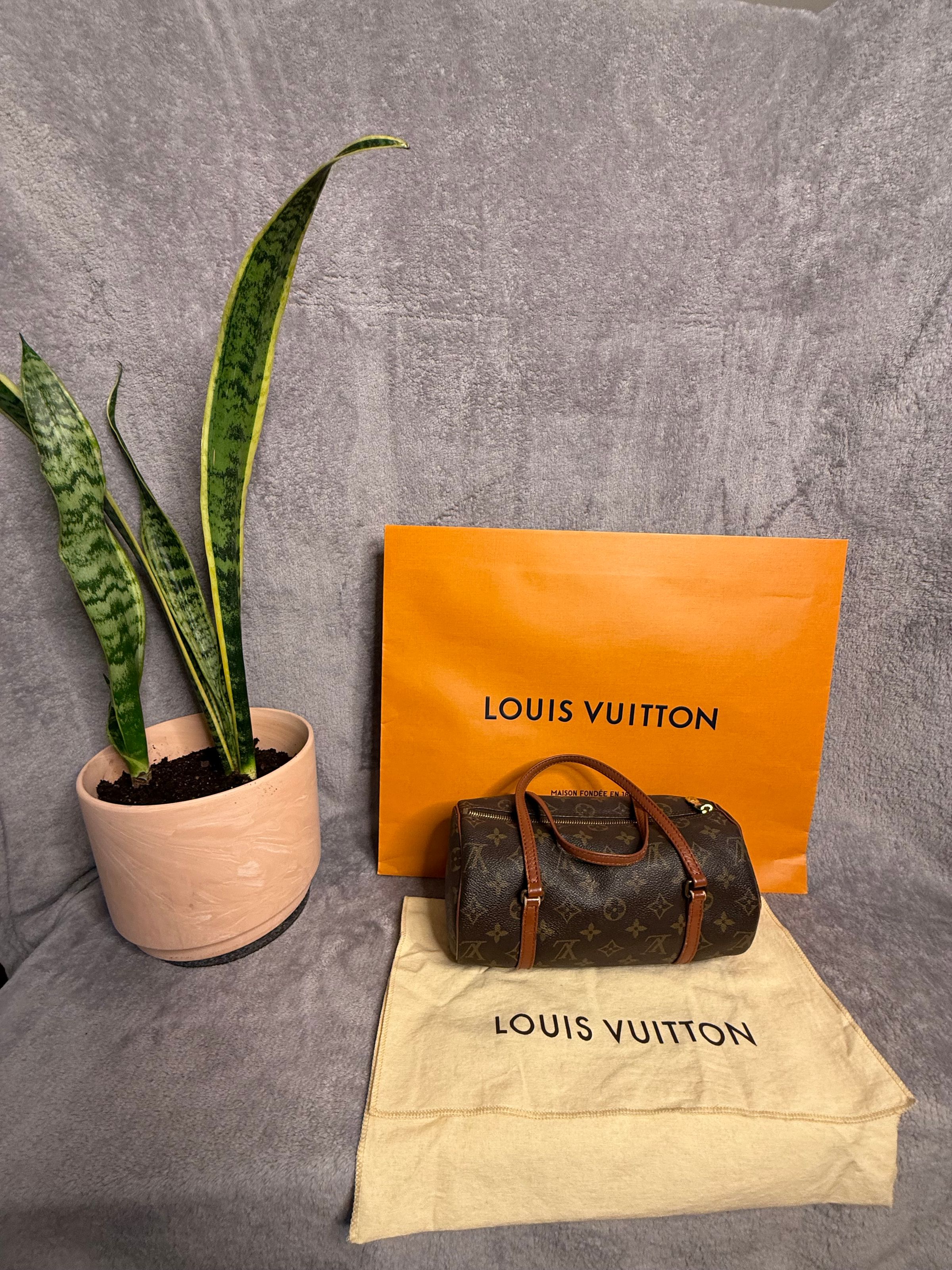 Lynchburgs Little Lux's image