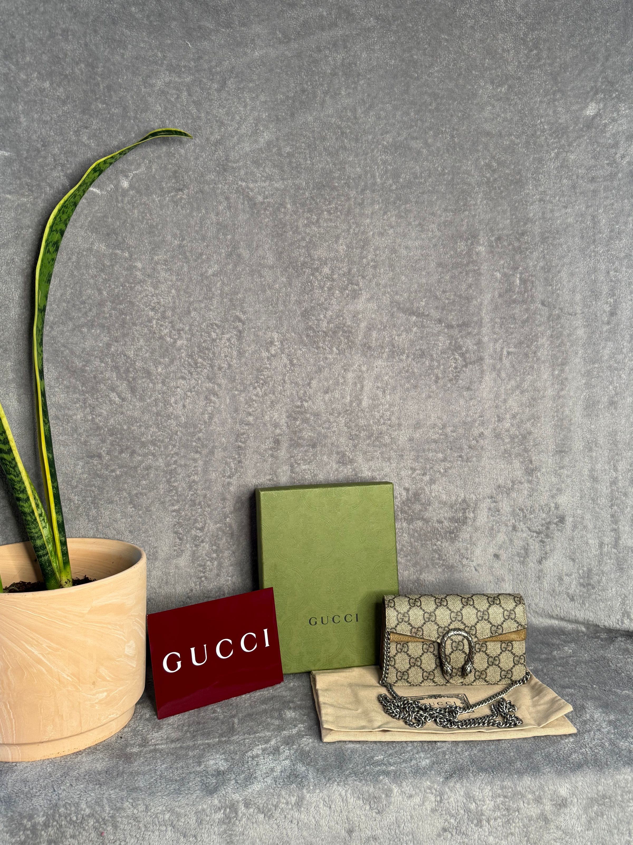 Lynchburgs Little Lux's image