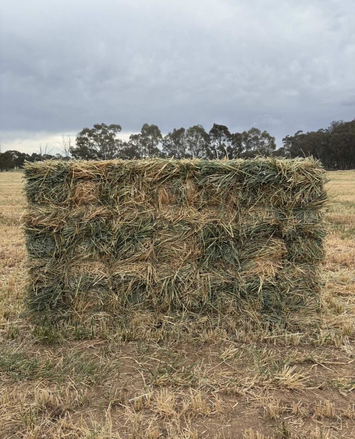 Hay for Sale in Burrumbuttock | Quality Hay at Burrum Bales's image
