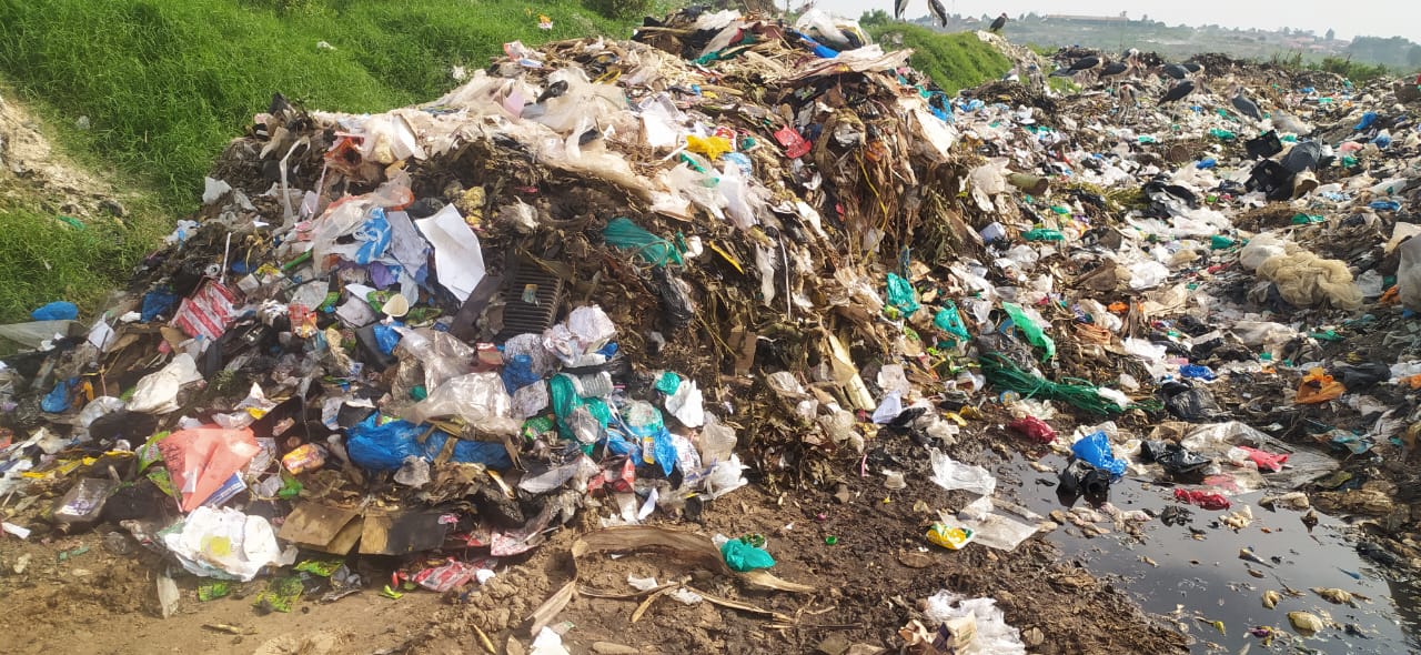 Planet Protection Ltd 's image