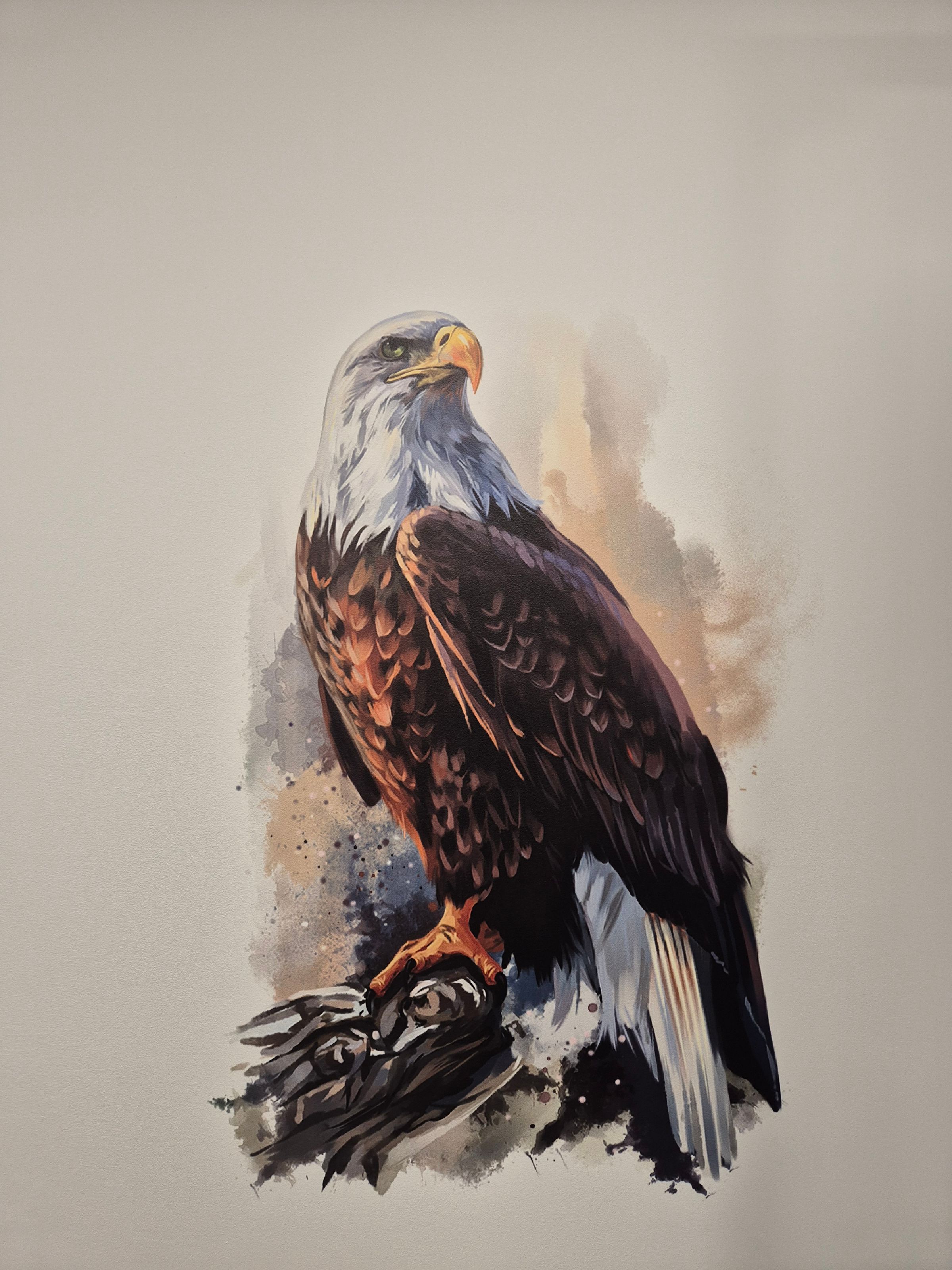 ECOPROWALLS 's image