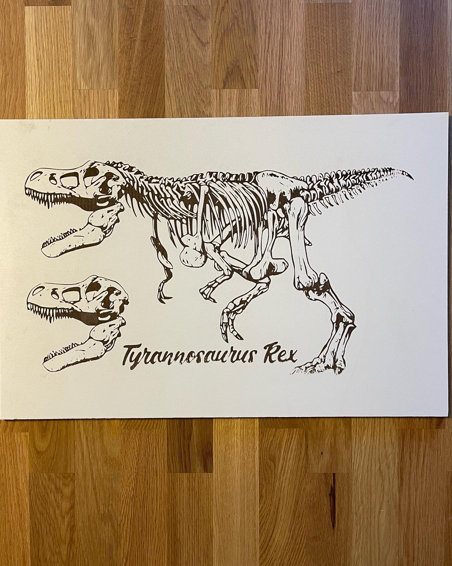 Dinosaur