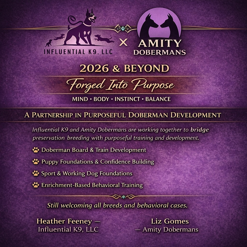 influential k9,LLC's image