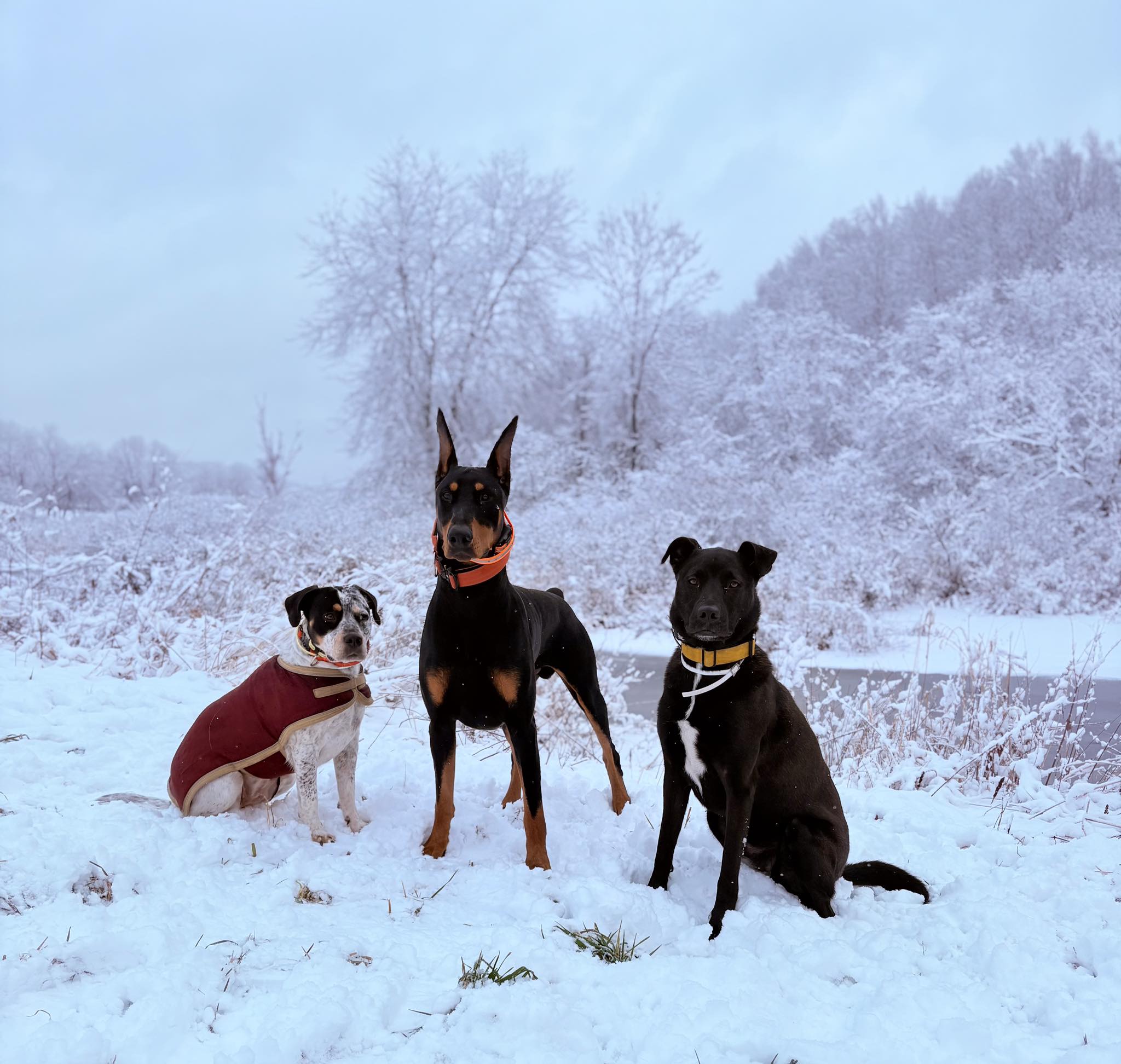 Our crew! Kaos, Finn, and Raven
