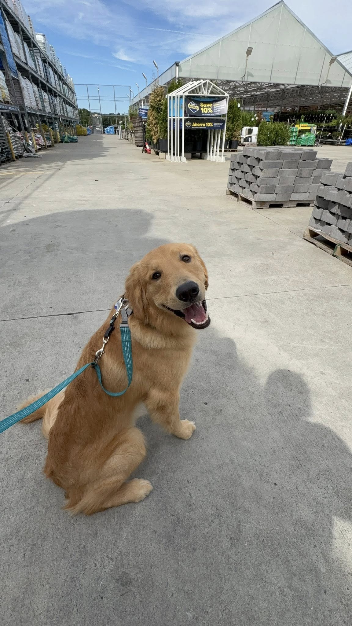 Benny (8 months old!)